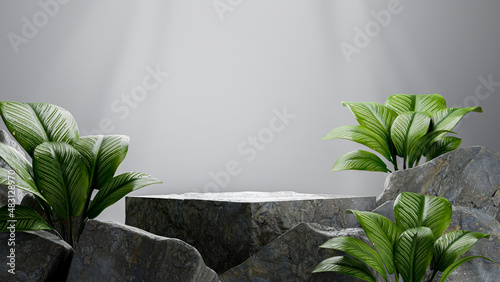 concrete podium with tropical plant for product display.