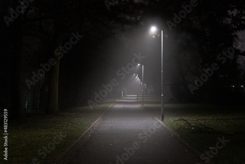 Fototapeta Naklejka Na Ścianę i Meble -  parkway in dark and foggy night