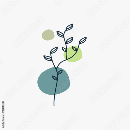forest fern eucalyptus art foliage natural leaves herbs in line style. Decorative beauty elegant illustration for design Vector flower Botanical © Ahmad