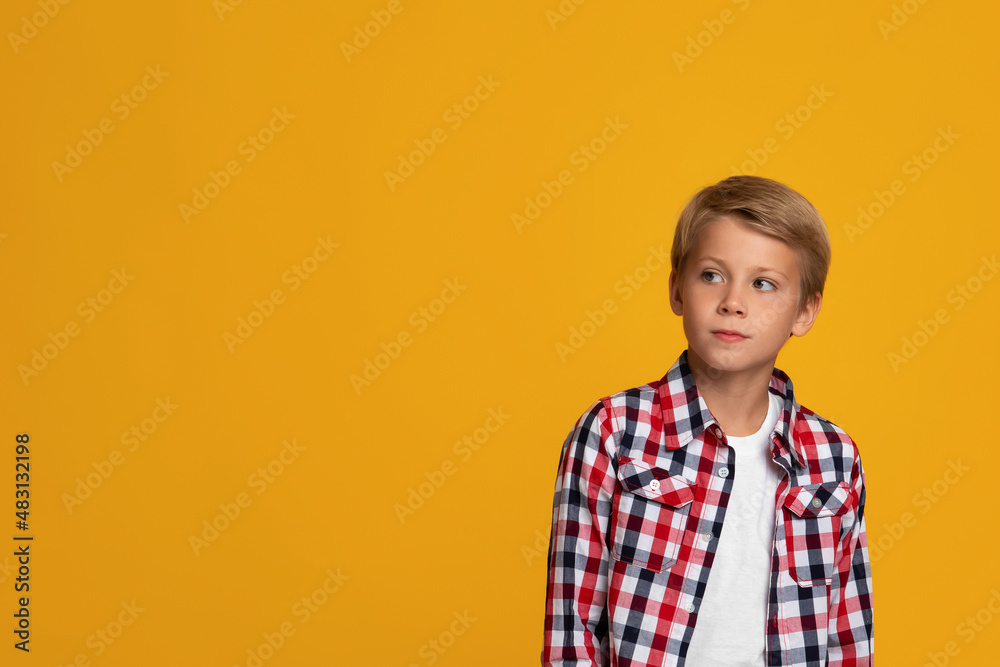 Serious calm blond teenage boy student in shirt looking at empty space Serious calm blond teenage boy student in shirt looking at empty space