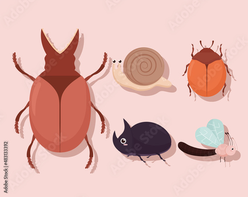 five cute bugs
