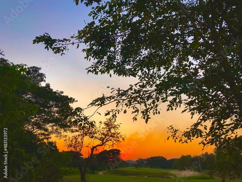 sunset in the forest