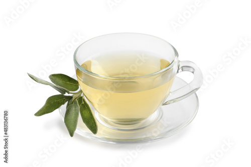 Cup of aromatic sage tea and fresh leaves isolated on white