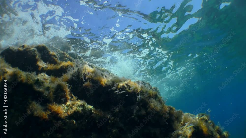 Tidal wave and sun rays near the underwater cliff, bottom view. Tidal wave and sun rays near the underwater cliff, bottom view.