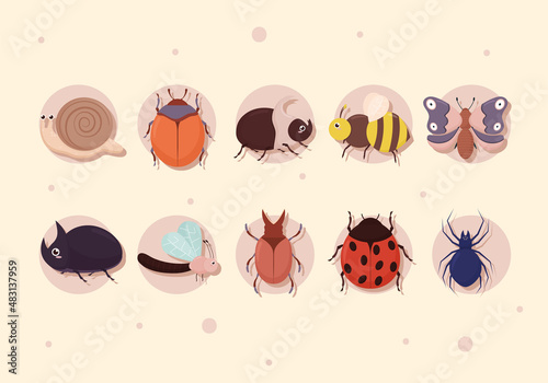 ten cute bugs
