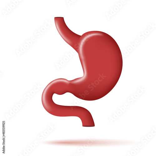 Stomach 3d icon, healthy human organ illustration