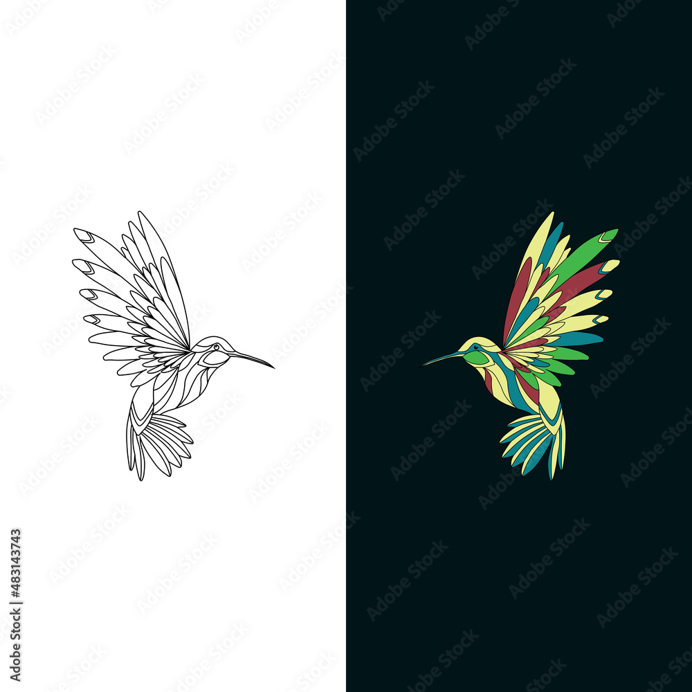 Obraz premium hummingbird colour full line art