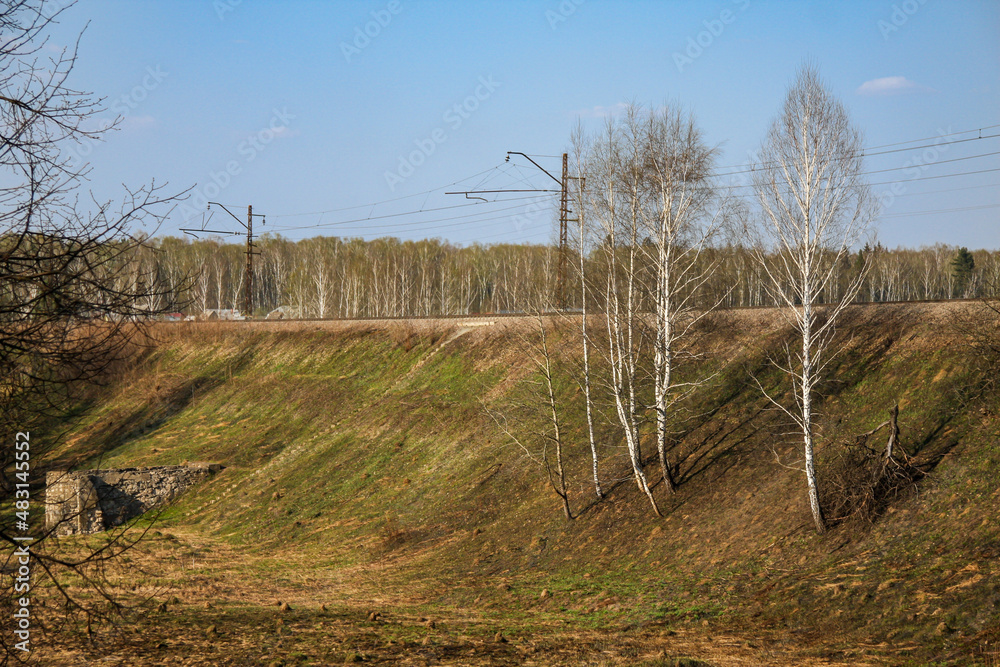 Obraz premium Countryside landscape with birches growing near a railway. Spring nature background