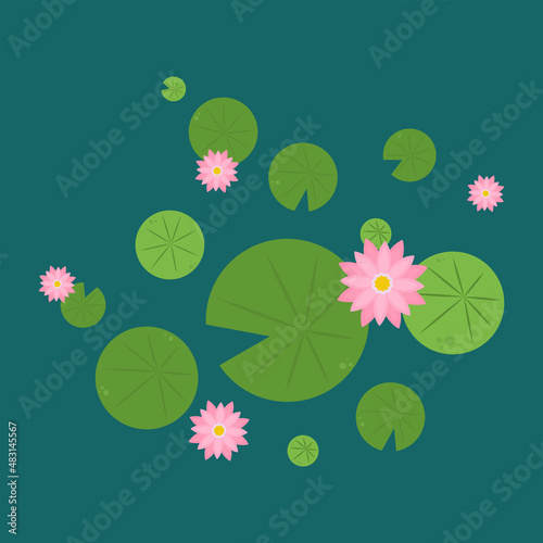 Lily pad and Lotus vector. wallpaper. free space for text. background. poster. lotus flower.