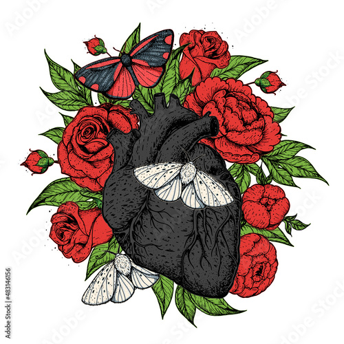 Heart, butterfly and flower hand drawn. Vintage vector illustration. Anatomical floral heart. Isolated colorful illustration. Vintage print.