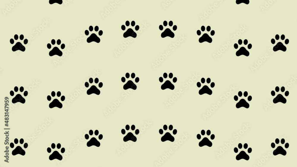 Colorful pattern of cat paws. Seamless pattern with cat paw. Top view. Dog, cat footprint background. 4K video motion Colorful pattern of cat paws. Seamless pattern with cat paw. Top view. Dog, cat footprint background. 4K video motion