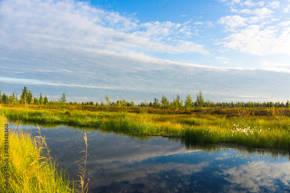 Forest tundra, blue sky reflection in the lake