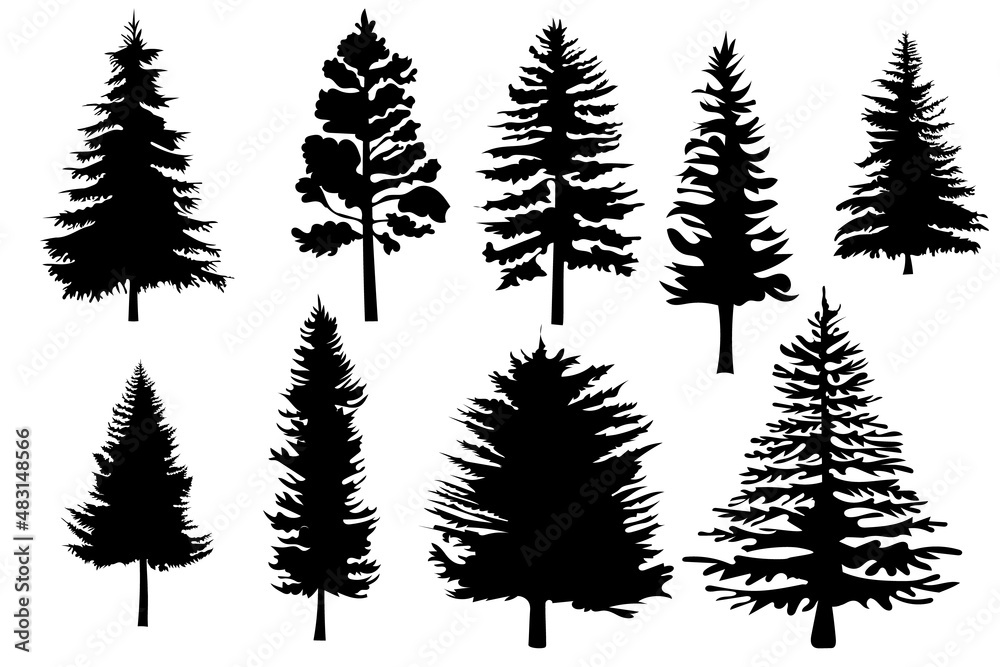 Pine tree silhouettes set isolate. Pine tree silhouette hand drawn collection. Vector illustration