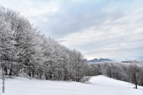 Piękny zimowy krajobraz górski, szadź na drzewach, Bieszczady, zima w górach, białe połoniny, góry zimą. Beautiful winter mountain landscape , rime, white meadows, mountains in winter. photo
