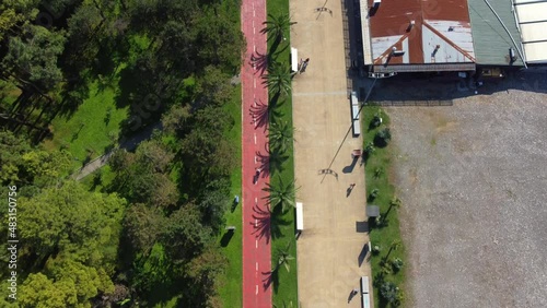 Bike path near the palms drone view. Top view person cycling between trees on a red cycling road in the summer