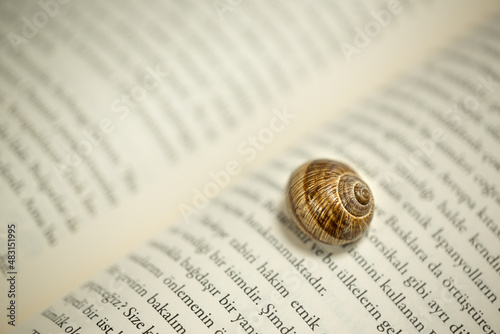 Brown snail shell on a Turkish book page. Snail shell in selective focus. Education, patience, wild life, learning concept.