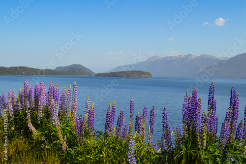 lake in the mountains