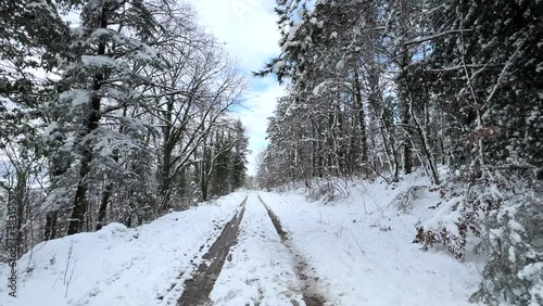 Wallpaper Mural POV shot of Hiker walking on the road in the snowy forest Torontodigital.ca