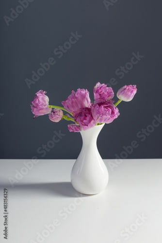 violet tulips in white vase on background gray wall