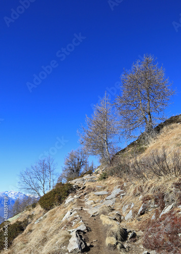 Mountain path on a sunny day in winter