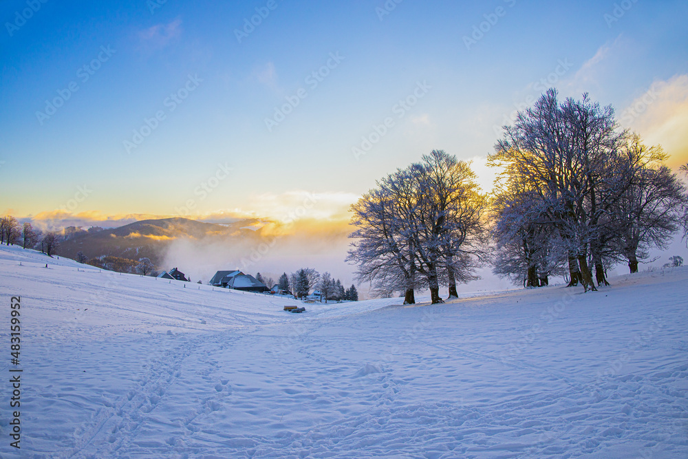 Hofsgrund_7632 Hofsgrund_7632