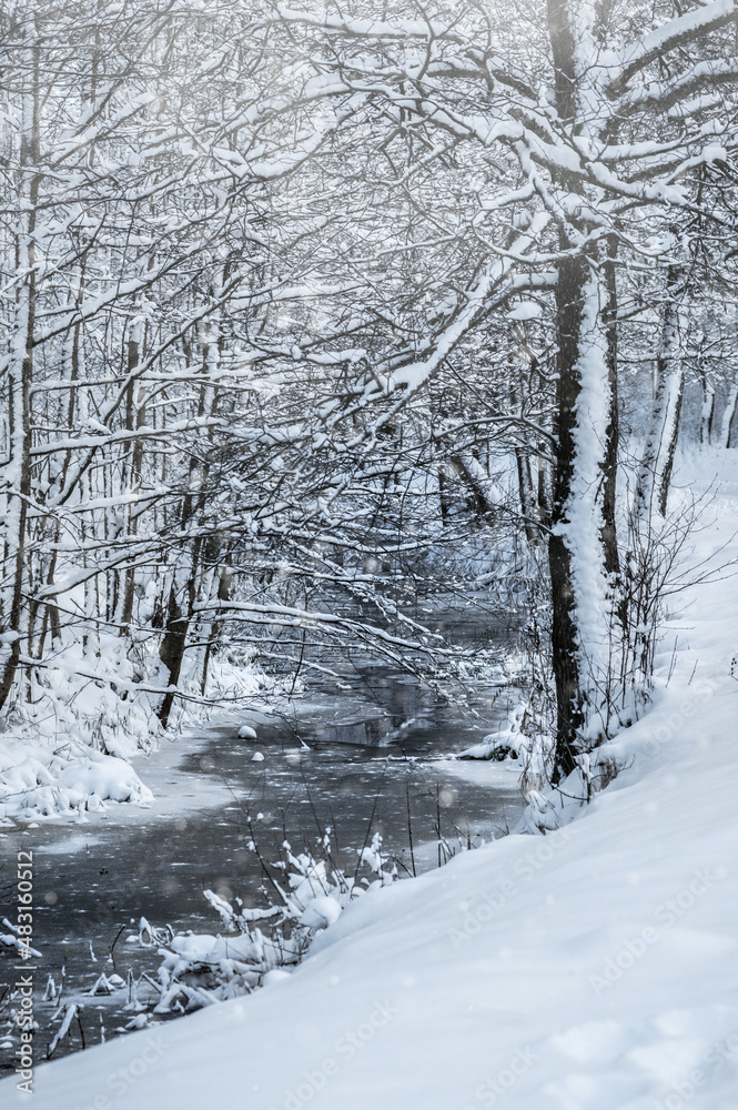 Snow covered trees in the winter forest with snowfall Snow covered trees in the winter forest with snowfall