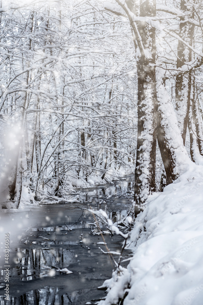 Naklejka premium Snow covered trees in the winter forest with snowfall