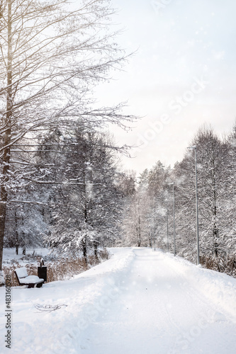 Snow covered trees in the winter forest with snowfall © anitty