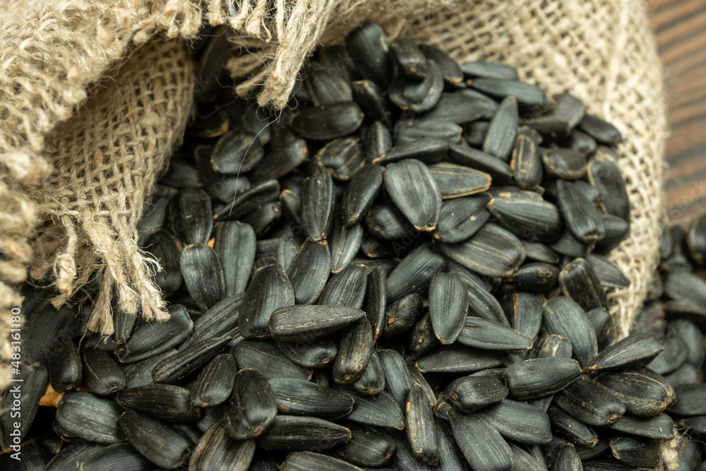 Sunflower seeds are scattered on homespun fabric with a rough texture. close-up, selective focus. Sunflower seeds are scattered on homespun fabric with a rough texture. close-up, selective focus.