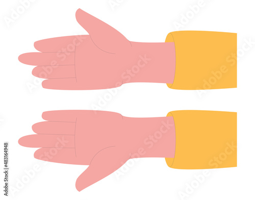 Two hands, palms up. View from above. Isolated, on a white background. Flat vector.
