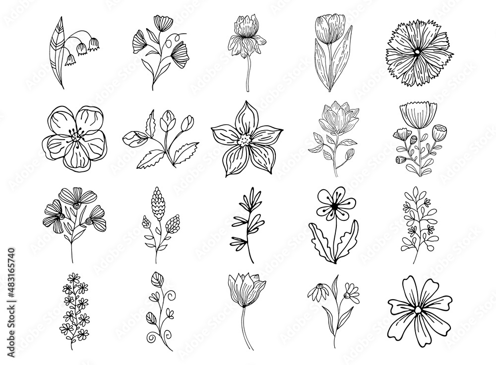 Black outline floral art on white background. Vector botanical clipart. Beautyful flowers and leaves set for invitations and cards design.