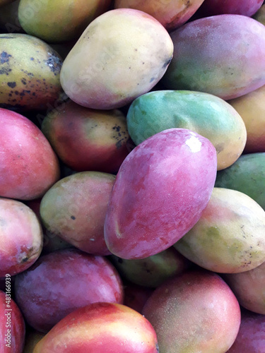 Cuadro en lienzo Palmer Mango