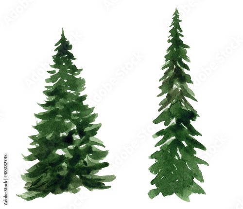 Two watercolor winter fir trees on a white background © tinkerfrost