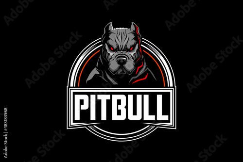 aggressive pitbull vector badge logo template photo