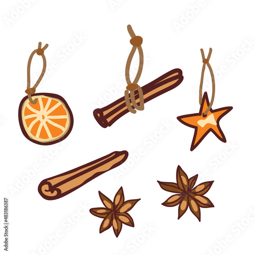 Winter aromatic spices for decoration and preparation of pastries and drinks. Vector