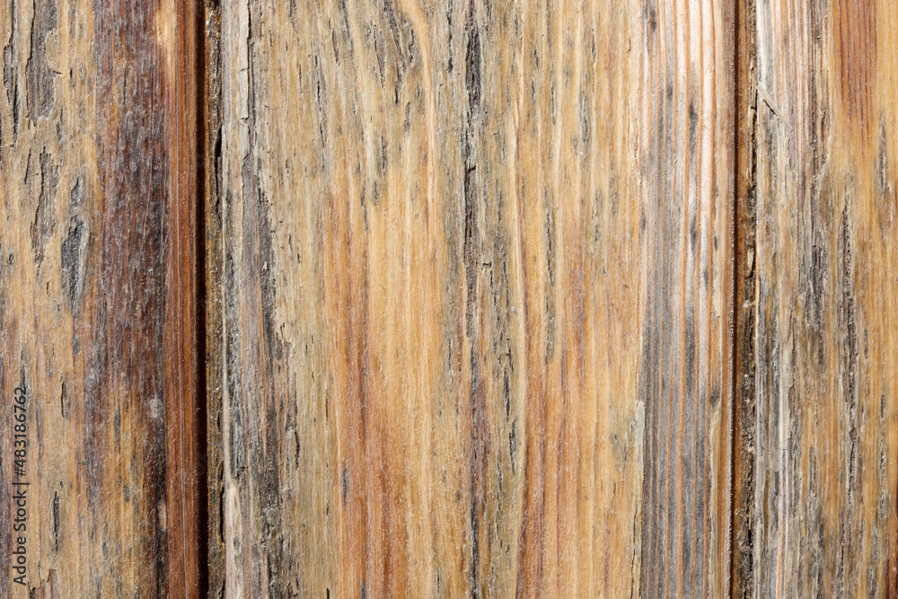 Detalle textura madera vieja Detalle textura madera vieja