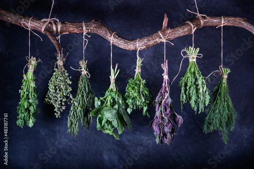 Hanging bunches of variety edible fresh herbs on a curved wooden crossbar, closeup on black background
