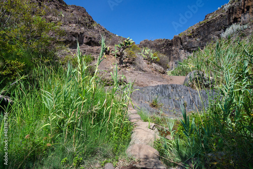 The Barranco de Afur gorge, leading to the beach of Playa de Tamadite, Macizo de Anaga (Anaga Mountains), Tenerife, Spain