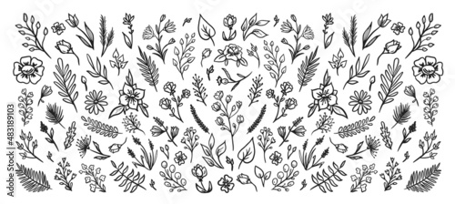 Hand drawn vector vintage elements of flowers leaves feathers sprigs..Vector illustration.Elements can be used for invitations  greeting cards  quotes  blogs  wedding frames  posters. 