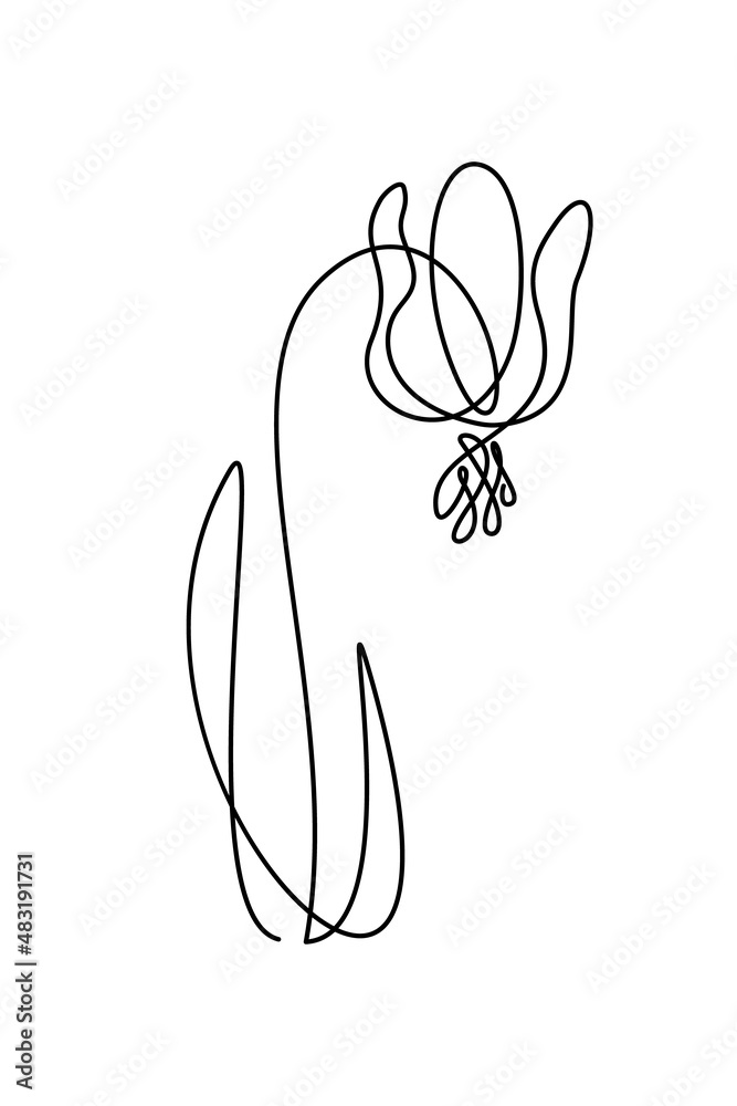Beautiful spring flower in continuous line art drawing style. Dogtooth violet minimalist black linear design isolated on white background. Vector illustration Beautiful spring flower in continuous line art drawing style. Dogtooth violet minimalist black linear design isolated on white background. Vector illustration