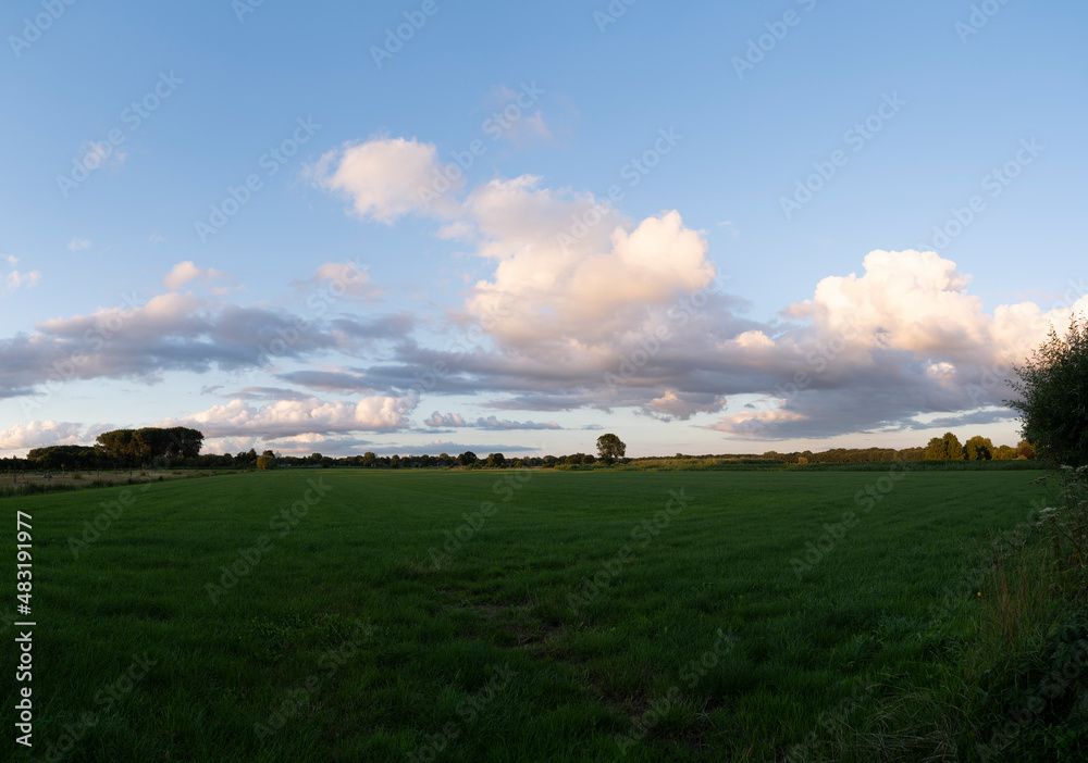 Green field of grass with cummulus clouds and sunshine panoramic view