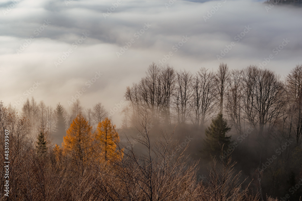 Misty autumn mountains landscape in the morning, Poland, Beskidy mountains, seen from Koziarz. Misty autumn mountains landscape in the morning, Poland, Beskidy mountains, seen from Koziarz.
