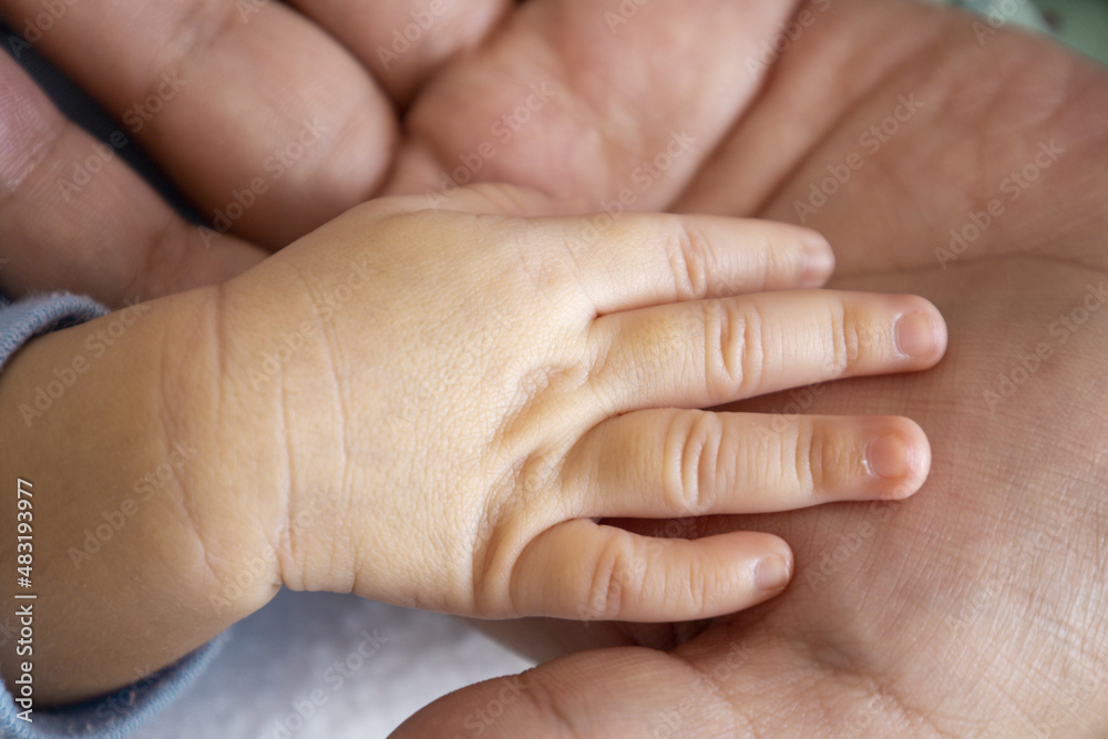 hand of a newborn on the hand of parents providing protection, innocence of new life with family love hand of a newborn on the hand of parents providing protection, innocence of new life with family love