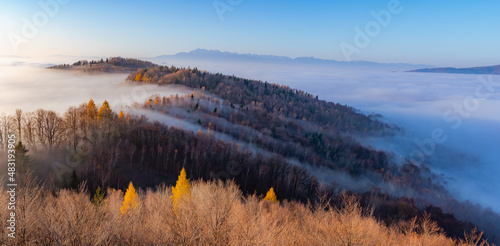 Fototapeta Naklejka Na Ścianę i Meble -  Misty autumn mountains landscape in the morning, Poland, Beskidy mountains and Tatra mountains in the background