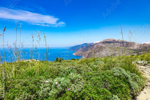 Bushes, grass and steep coast near Banyalbufar of Mallorca, Span