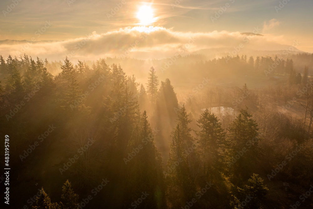 Dense Fog With the Sun Light Rays Streaming Through the Trees in the Forest. Backlit morning light makes a dramatic aerial view of this island forest in the Pacific Northwest. Dense Fog With the Sun Light Rays Streaming Through the Trees in the Forest. Backlit morning light makes a dramatic aerial view of this island forest in the Pacific Northwest.