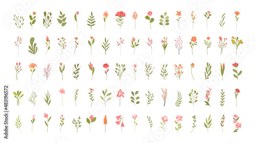 Set of flowers. Collection of badges for social sentey. Beautiful plants, flower shop design, graphic elements for website, greenery. Cartoon flat vector illustration isolated on white background