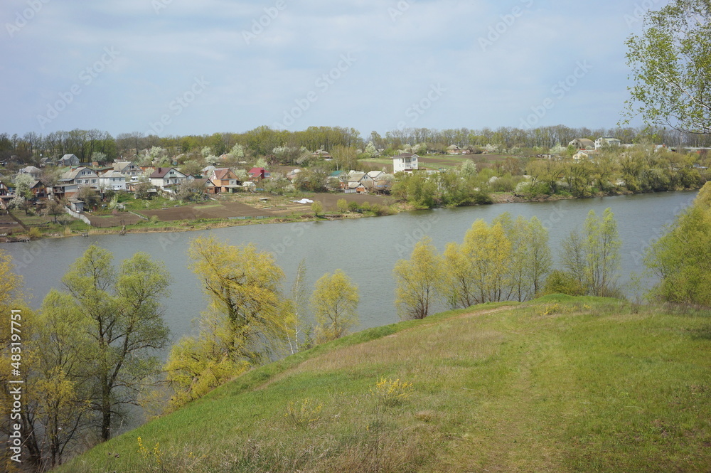 landscape with lake and trees