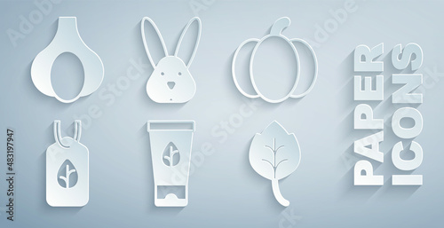 Set Organic cosmetic, Pumpkin, Vegan food diet, Leaf or leaves, Animal cruelty free and Garlic icon. Vector