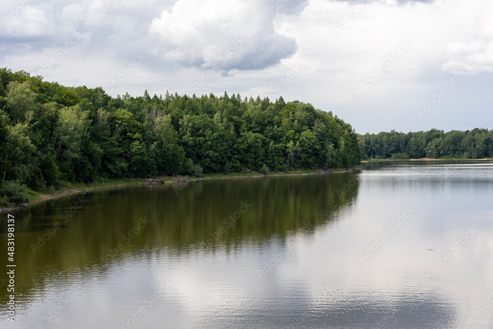 lake in the forest